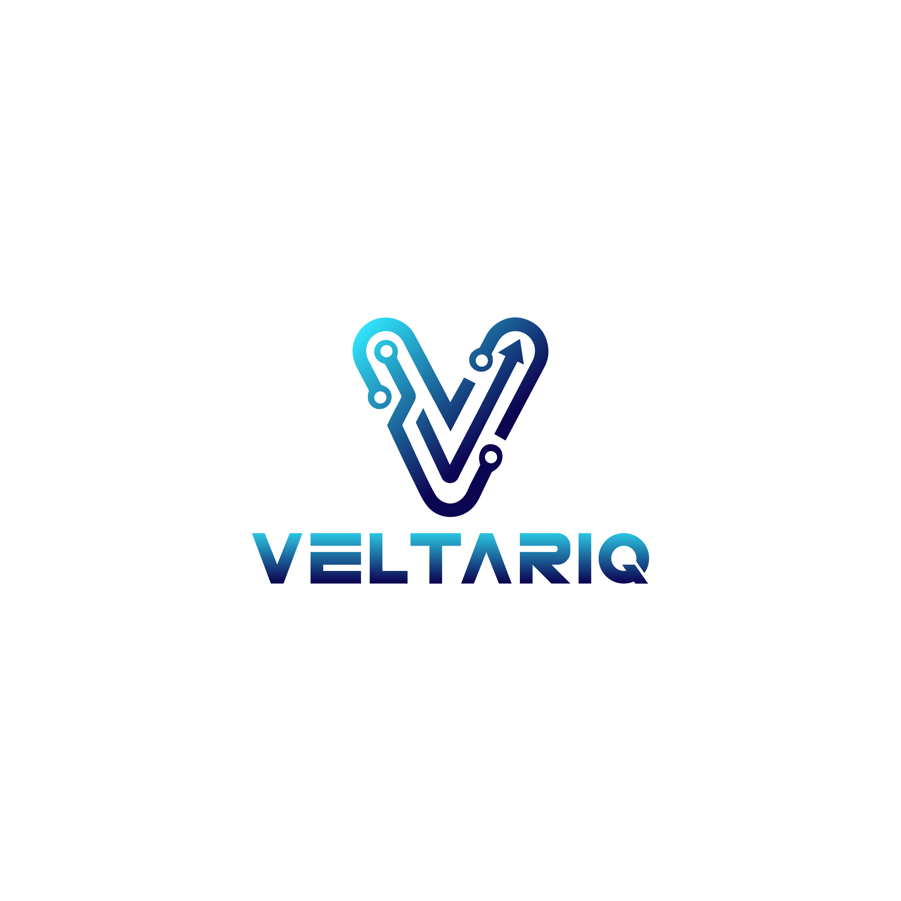 Veltariq Tech | IT Solutions, Web & Oracle APEX Development